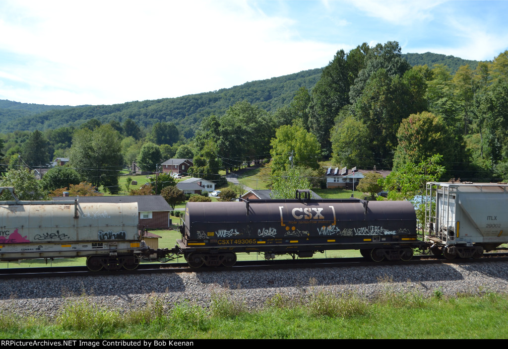 CSXT 493665